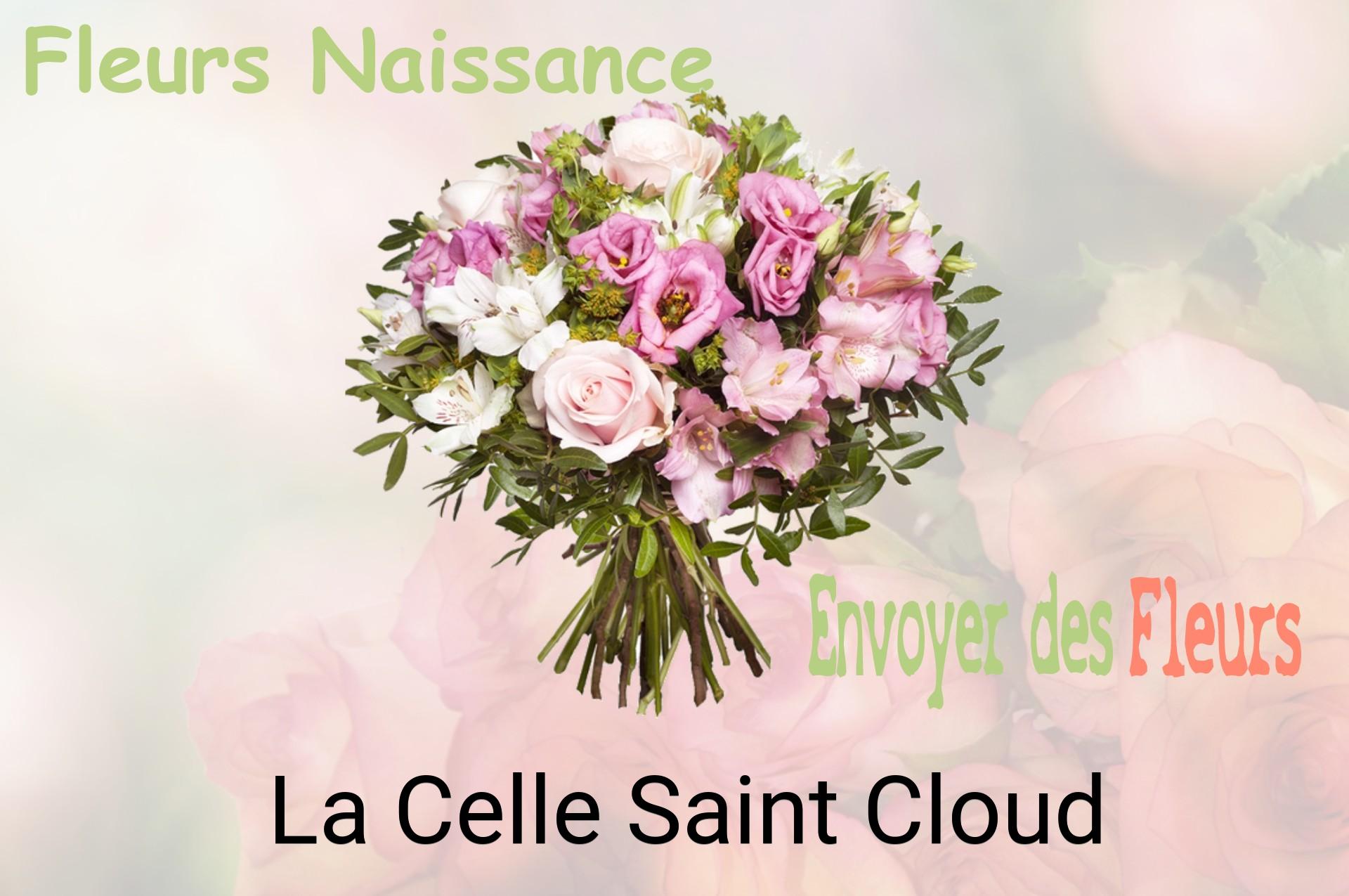 Bouquet de fleurs de naissance livré à La Celle-Saint-Cloud